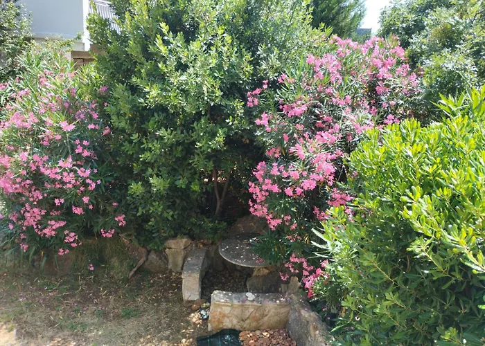 Miran