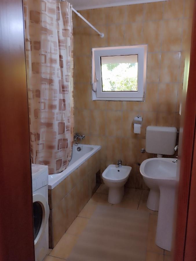 Apartment Miran Ivanica