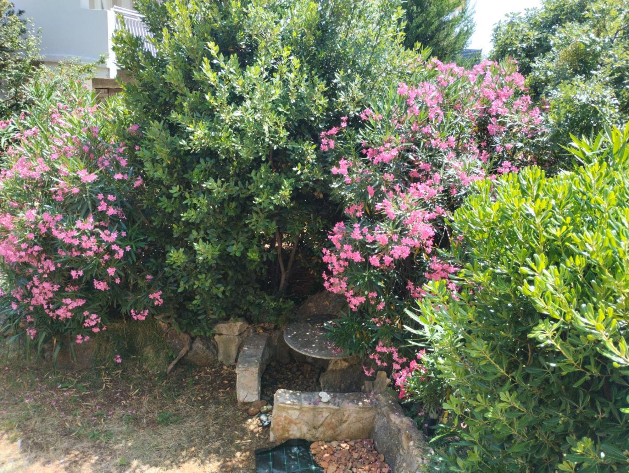 Apartment Miran Ivanica